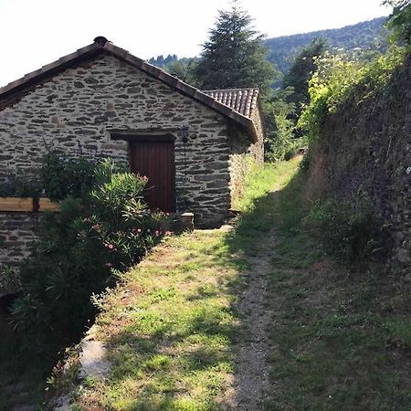 Maison Rurale Au Coeur Des Cevennes Ardechoises Dompnac Buitenkant foto