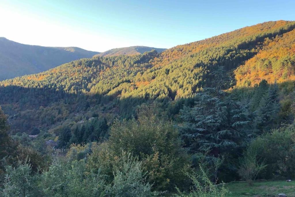 Maison Rurale Au Coeur Des Cevennes Ardechoises Dompnac Buitenkant foto
